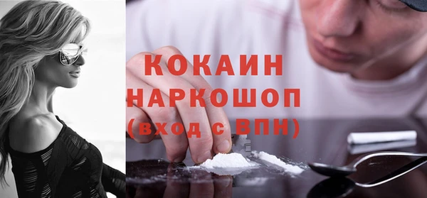 СК Алексин