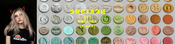 СК Алексин