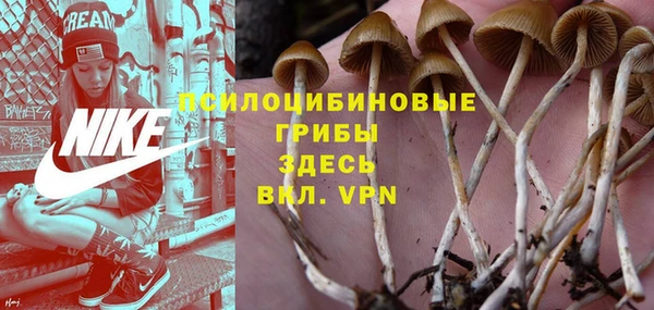 индика Алексеевка