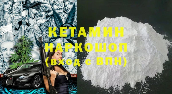 СК Алексин