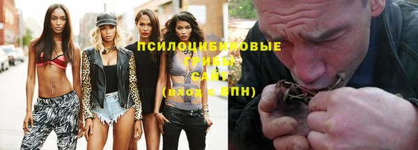 индика Алексеевка