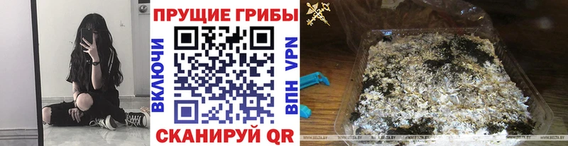 дарнет шоп  Белореченск  мориарти наркотические препараты  Псилоцибиновые грибы GOLDEN TEACHER 