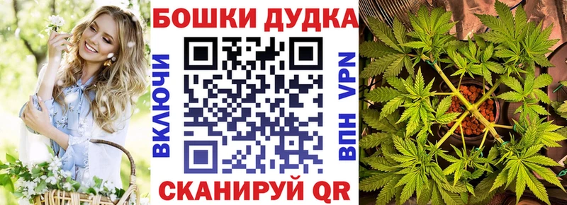 Каннабис OG Kush  Белореченск 